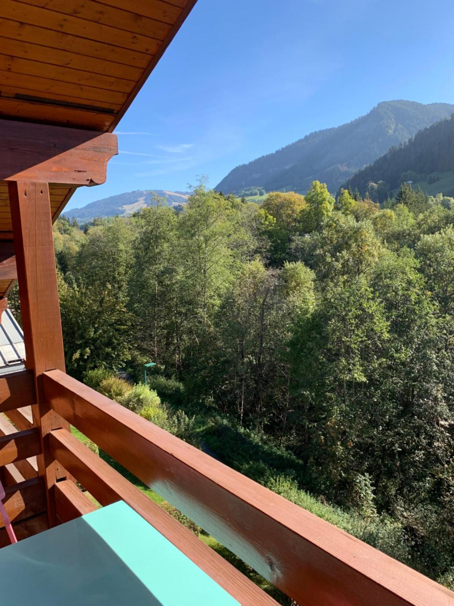Appartement Vue Piste De Ski Praz-sur-Arly Exteriör bild